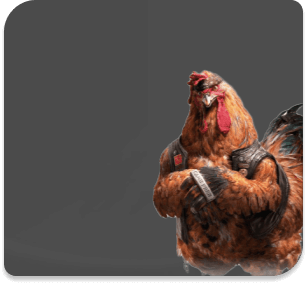 Đá gà banner