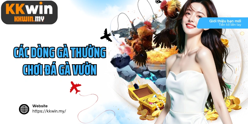 Các dòng gà thường chơi đá gà vườn