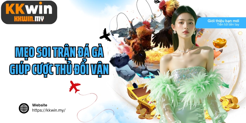 Mẹo soi trận đá gà giúp cược thủ đổi vận ngoạn mục
