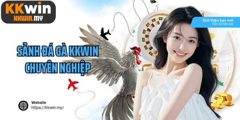 Sảnh đá gà Kkwin chuyên nghiệp, đa dạng loại hình