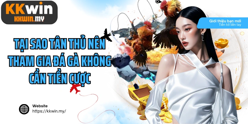 Tại sao tân thủ nên tham gia đá gà không cần tiền cược