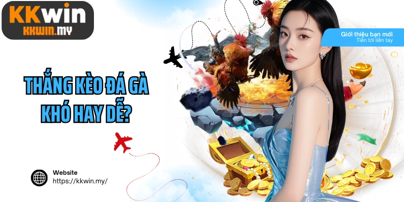 Thắng kèo đá gà khó hay dễ?
