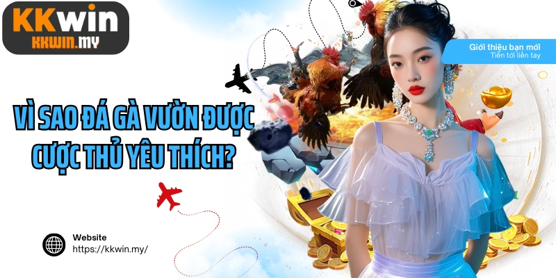 Vì sao đá gà vườn được cược thủ yêu thích?